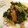 sumityon830's cooksnap of when they made ほうれん草のツナ和え.