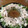 えりんぎ112's cooksnap of when they made ささみのサラダ☆手作りソースで☆.