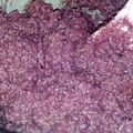 食器洗いは苦手's cooksnap of when they made わたしの甘酒（さつまいもともち米）.