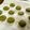 ころニッチ's cooksnap of when they made 白ココアと抹茶のクッキー☆.