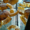 エリxルリ's cooksnap of when they made しいたけの軸の活用法.