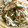 MAYUMIXY's cooksnap of when they made 蓮根とごぼうと人参のサラダ.