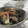 Apple_Home's cooksnap of when they made あさりとほうれん草のごま和え.