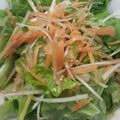 しまかこ's cooksnap of when they made ポン酢でサッパリ韓国風サラダ。.