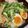 うぱるぱここあ's cooksnap of when they made 手作りスープが◎我が家の塩ラーメン.
