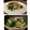 ダッフィーニーうに's cooksnap of when they made 簡単！茹でなし！ほうれん草のソテー.