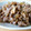 atoyu's cooksnap of when they made 牛肉と舞茸の生姜醤油煮.