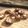 たいちまん's cooksnap of when they made 自家製干し椎茸.