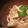 iqz's cooksnap of when they made 筍としらたきの明太子炒り.