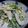 あっちゅう's cooksnap of when they made 水菜とたらこのサラダ.