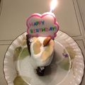 みりたぽ's cooksnap of when they made めちゃ簡単☆チョコレートケーキ.