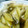 ysqjc371's cooksnap of when they made まいたけとじゃがいもの炒め物.