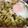 beatorisu's cooksnap of when they made 焼肉うどん？？.
