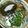 単！！'s cooksnap of when they made 余ったそうめんで!とろろ昆布にゅうめん.