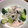 sayav-.-v.'s cooksnap of when they made ごはんに合うよ♪鮭の和風クリーム煮.