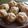 ﾐｰﾄﾊﾟｲママ's cooksnap of when they made HBで簡単肉まん！.