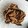 かぴーな's cooksnap of when they made 干し椎茸の煮物.