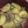 chikomon's cooksnap of when they made 梅酒で牛スジ大根.