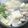 スタイリッシュママ's cooksnap of when they made ラーメンスープでお鍋!!.