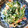 ゆきぼうまま's cooksnap of when they made 白和え.