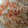 ゆうたんゆう's cooksnap of when they made 白滝の明太和え.