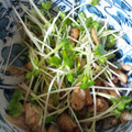 ハライタアオムシ's cooksnap of when they made 簡単！鶏皮の柚子こしょうぽん酢.