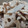 ミックスツインずママ's cooksnap of when they made 焼きれんこんとささがきごぼうのサラダ.