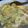 しししむむむ's cooksnap of when they made 柚子胡椒でさわやかに☆白い麻婆豆腐.