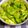 ☆めんめ☆'s cooksnap of when they made キャベツとキュウリの浅漬け・柚子胡椒風味.
