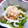 かこ☆かっちゃん's cooksnap of when they made ◆生めかぶを買ってみて！◆.