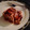 myg♪'s cooksnap of when they made 簡単！デザートの定番ティラミス.