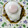 えまっちママ's cooksnap of when they made いつもの焼きそばに目玉焼きのせ★.