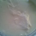 ぼっち～'s cooksnap of when they made 自家製豆乳ヨーグルト.