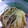 あい葉's cooksnap of when they made 独活のツナ炒め♪.