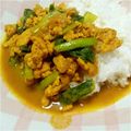 SAKURA0704's cooksnap of when they made 糖質オフ 簡単！和風カレー（糖質5.0）.
