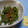 りんりん２００６'s cooksnap of when they made こごみのゴマ和え.