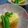 ｓｗｅｅｔｓｗｅｅｔ's cooksnap of when they made お出しで食べる卵焼き.