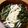Andy♪'s cooksnap of when they made 簡単かけうどん～(⌒‐⌒).