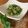 かおpon's cooksnap of when they made *豆苗とベーコンのガーリック炒め*.