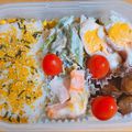柴犬のお顔☆'s cooksnap of when they made お弁当に！レンジで簡単ハムエッグ♪.