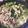 ほっこり温泉's cooksnap of when they made ぽっかぽか✿豚肉入り❀おろしうどん✿.