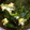 やしゅう's cooksnap of when they made 桜エビとほうれん草のふわとろ卵スープ☆彡.