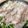 kushirch's cooksnap of when they made 豚肉＆豆苗＆野菜たっぷりレンジ蒸し.