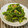 m@n@'s cooksnap of when they made 菜の花の白だし和え☆.