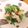 りえぴぃ～'s cooksnap of when they made 菜の花とベーコンのペペロンチーノ炒め.