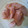 ミオ・オブライエン's cooksnap of when they made 魚肉ソーセージの焦がしマヨ生姜焼き.