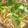makoro002's cooksnap of when they made 照り照りこく旨！韓国風牛丼.