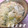 ぴっちい's cooksnap of when they made あさり♥♡ごぼうピラフ風.