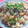 七色ワクチン's cooksnap of when they made 鮭としめじの簡単炊き込みご飯.