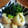 みーここなっつ's cooksnap of when they made 簡単！放置するかぶの漬け物.
